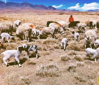 他用一台iphone 4就拍出了绝美的西藏