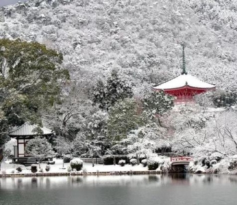 世界太浮躁 去京都的寺院听雨看枫静静心