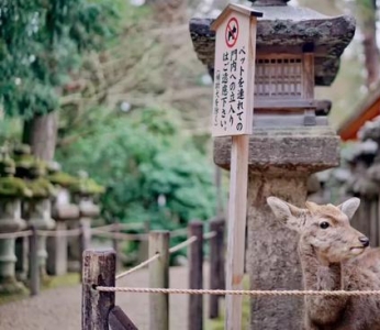 日本“电子签”要来了 快去打卡梁朝伟都忍不住晒照的旅行地