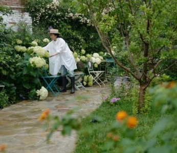 一年花40万买花 花痴姑娘改造京城“最美四合院”