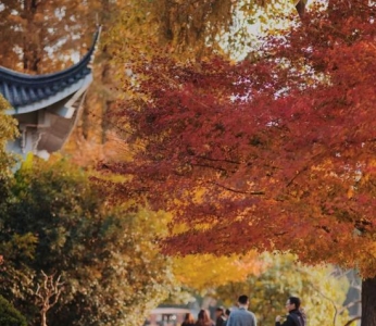 一到秋天 杭州就成了临安