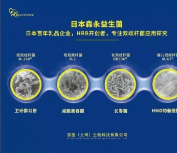 百施生物代理菌株森永益生菌长双