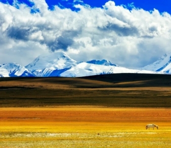 一定要来一趟西藏 看一看不同的世